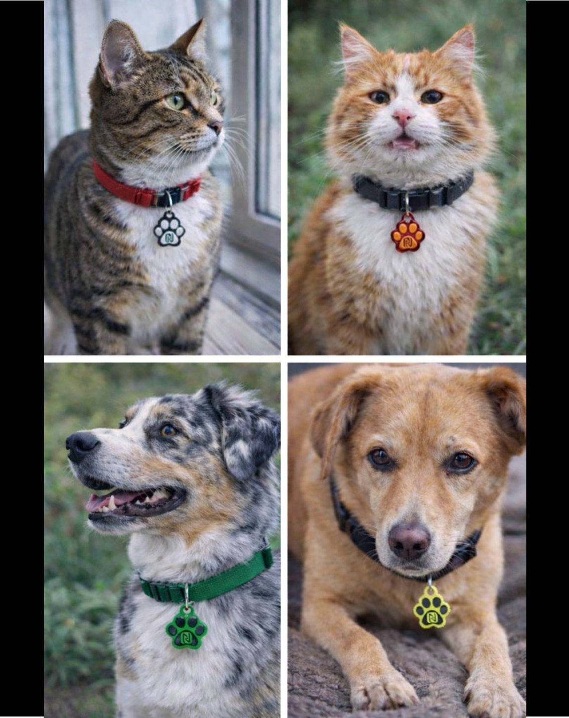 ZA03 - Individueller SOS Tieranhänger für eigene Farbgestaltung